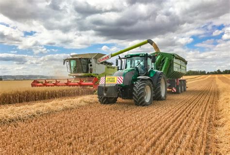 Watch: Harvesting gluten-free oats in Co. Carlow - Agriland.ie