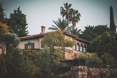 A House among Palm Trees · Free Stock Photo