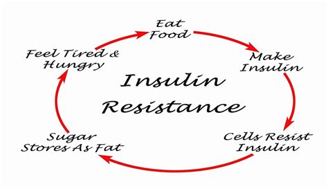 Fasting Insulin Test: What Is Insulin & How to Manage Its Levels