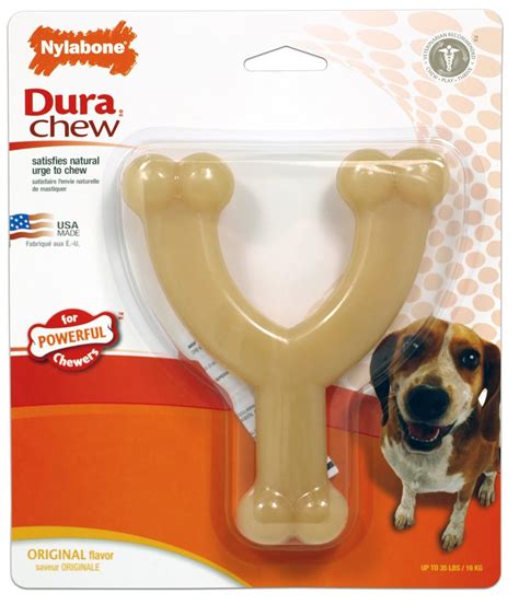 Best Dog Toys for Heavy Chewers: 5 Durable Choices (& A Bit of Advice…)