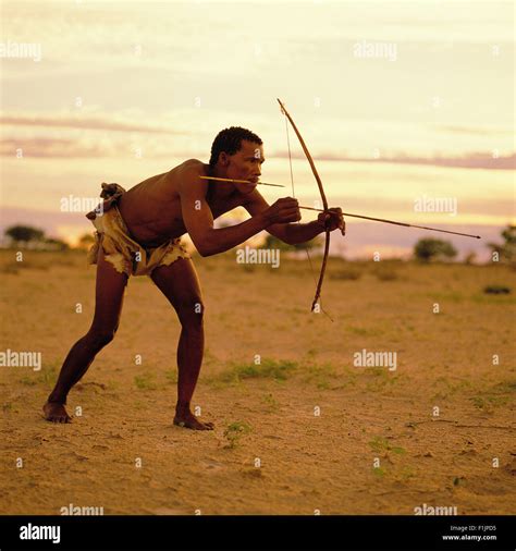 Bushman Hunting, Botswana, Africa Stock Photo: 87079249 - Alamy