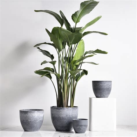 Higold - 10.6 Inch Plastic Plant Pot, Round Garden Pot, Plant Container, Indoor/Outdoor Using ...
