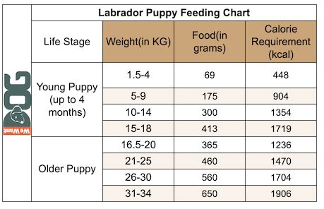 Labrador Feeding Chart By Age Justagric, 44% OFF