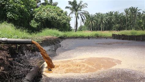 Kolam Air Kolam ikan koi minimalis - Wisata Bali