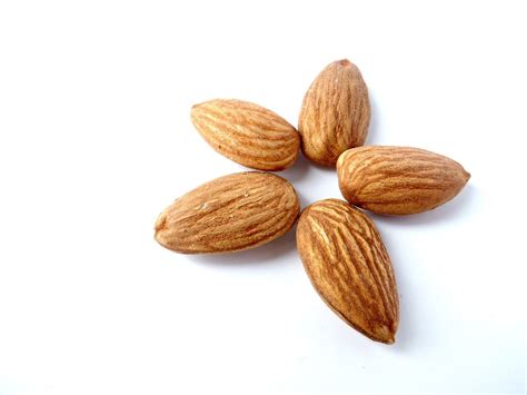 Sweet and Bitter Almonds » iran dried fruit