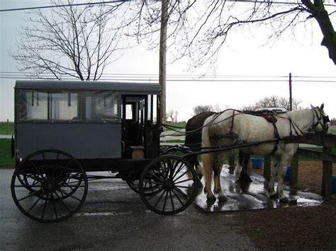 Amish Country Tours from New York City - 2022 Travel Recommendations | Tours, Trips & Tickets ...