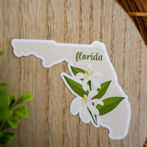 Florida State Sticker Florida Sticker Decal State Sticker - Etsy ...