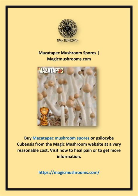 Mazatapec Mushroom Spores | Magicmushrooms.com by William James - Issuu