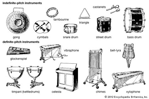 Musical Percussion Instruments With Names