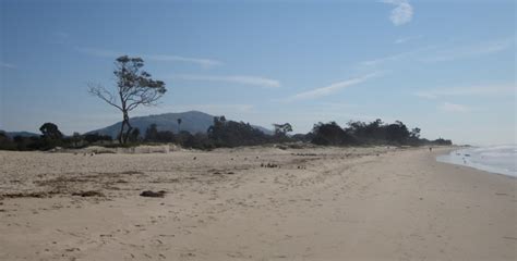 Carpinteria State Beach in Carpinteria, CA - California Beaches