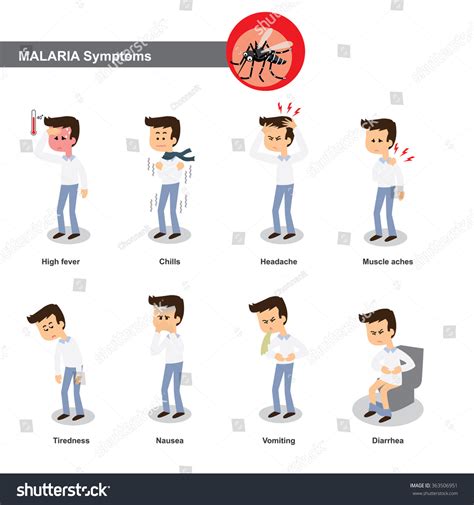 Malaria Symptoms Stock Vector 363506951 - Shutterstock