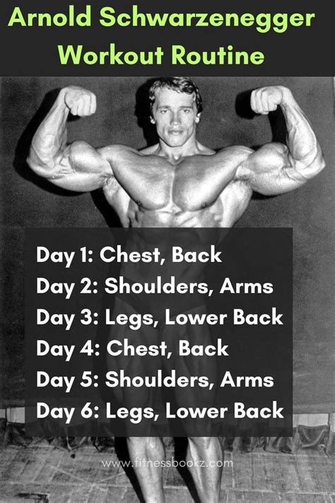 Arnold Schwarzenegger Daily Routine | Bodybuilding workout plan, Workout program gym, Arnold ...