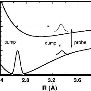 Schematic diagram of pump-dump-probe control and detection processes. | Download Scientific Diagram