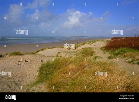 West Wittering beach near Chichester West Sussex England UK Stock Photo - Alamy