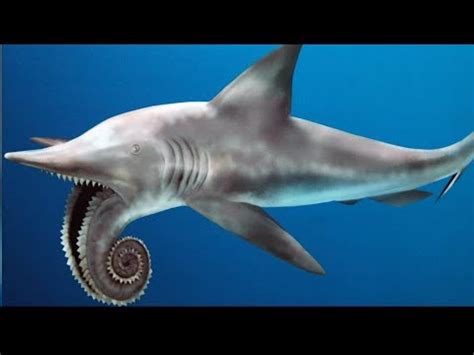 13 Terrifying Sharks That Actually Exist - YouTube