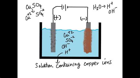 C1.3 Lesson3 Phytomining and Bioleaching - YouTube