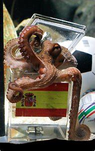 Paul the Octopus, Who Predicted World Cup Matches, Dies - The New York Times