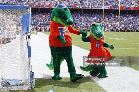 Florida Gators mascots Albert and Alberta during game vs Tennessee ...