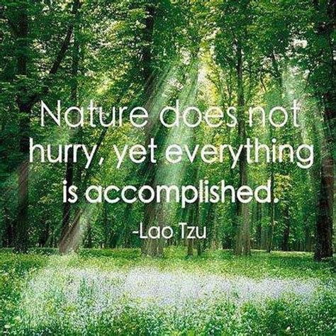 Saving Nature Quotes. QuotesGram