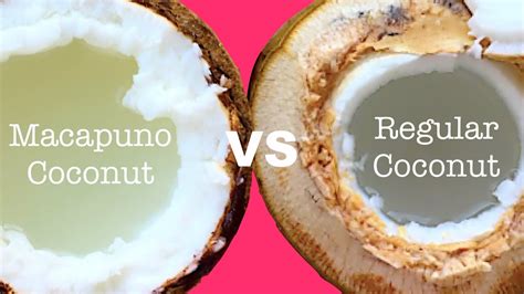 Macapuno coconut vs regular coconut: How are they different? - YouTube