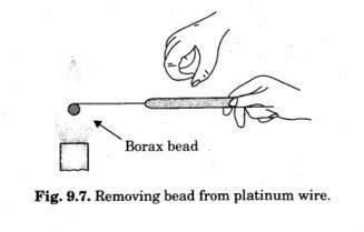 Qualitative Analysis - Borax Bead Test | Photosynthesis, Oxidation state, Blue and copper