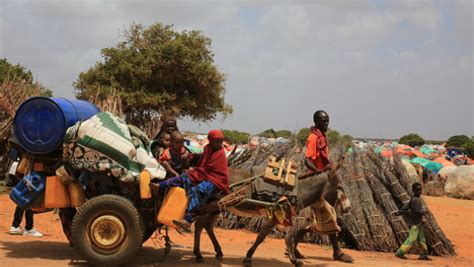 Humanitarian aid averting Somalia famine, for now: UN says