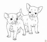Fun And Free Chihuahua Coloring Pages To Print Enjoy sketch template