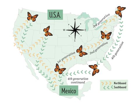 Monarch Butterfly Migration Map: Track the Epic Migration Journey