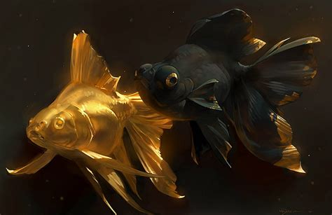 HD wallpaper: two black and gold fish wallpaper, art, goldfish, a couple, golden fish ...