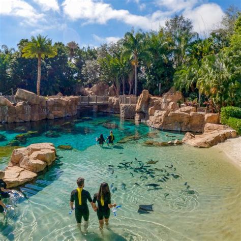 Discovery Cove in Orlando: Guide to the All-Inclusive Day Resort