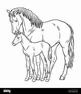 Horse Paint Coloring Pages sketch template