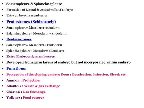 Coelom formation in protostomes and deuterostomes and types of coelom | PPT