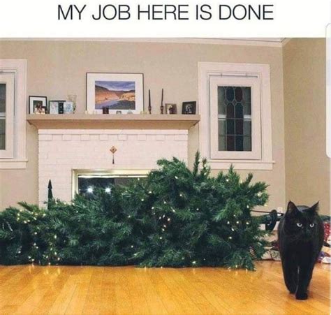 The most hilarious Christmas cat memes and cartoons – Cat in the Box LLC