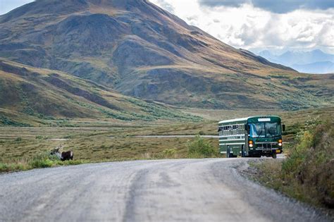 Best Hikes in Denali National Park: All 20 Trails Ranked