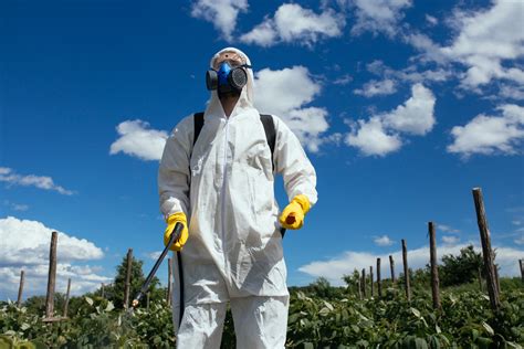 What Happens When Organic Farms are Forced to Spray Conventional Pesticides? | Civil Eats