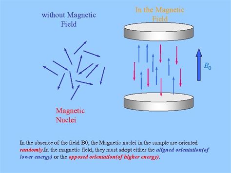 Introduction to Nuclear Magnetic Resonance—NMR Principle of NMR