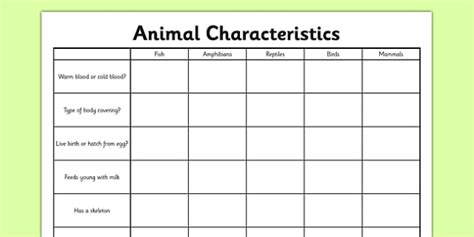 Animal Characteristics Worksheet - Science Resoucre - Twinkl