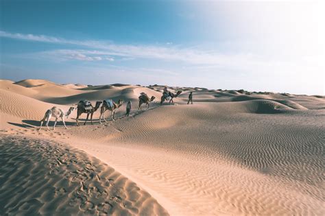 Désert de Tunisie depuis Douz : quelle excursion dans le Sahara tunisien