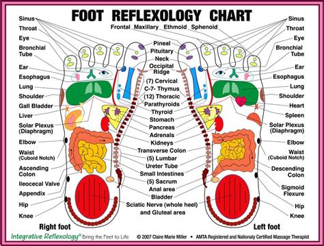 Foot reflexology – JURI COACHING