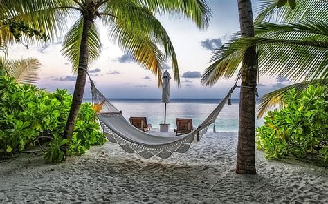 HD wallpaper: Beach Relaxing Corner, palms, sand, ocean, exotic ...