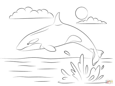 Orca Whale Coloring Page - Coloring Home