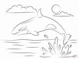 Orca Whale Coloring Page  Coloring Home sketch template