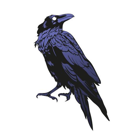 crow vector illustration, black horror raven 3256853 Vector Art at Vecteezy