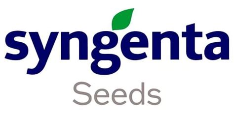 Syngenta Seeds | PotatoPro