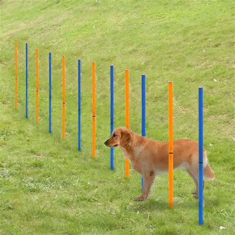 Hoopet Pet Training Poles Outdoor Dog Agility Sports Equipment Dogs ...