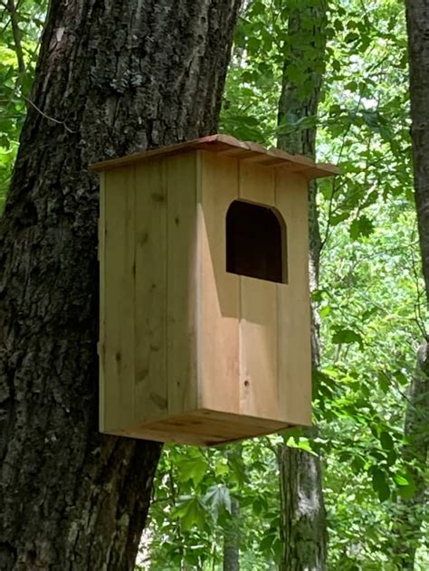 Barred Owl Nest Box Plans: How to Build a Barred Owl House - FeltMagnet