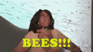 First Class Bee GIFs - Find & Share on GIPHY