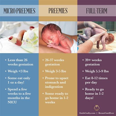 micropreemie preemie fullterm baby facts | Nicu nurse education, Nicu ...