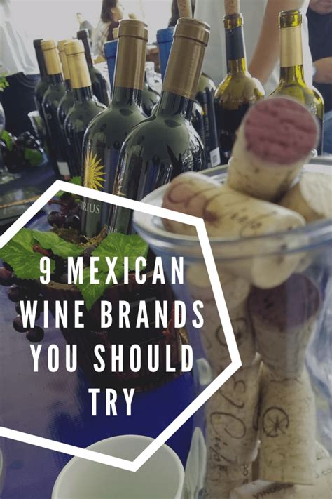 9 Mexican Wine Brands You Should Recognize and Try on a Wine List - Epicurean Expats