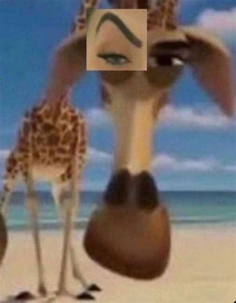 Create meme "Madagascar 3 , Melman , Madagascar " - Pictures - Meme ...